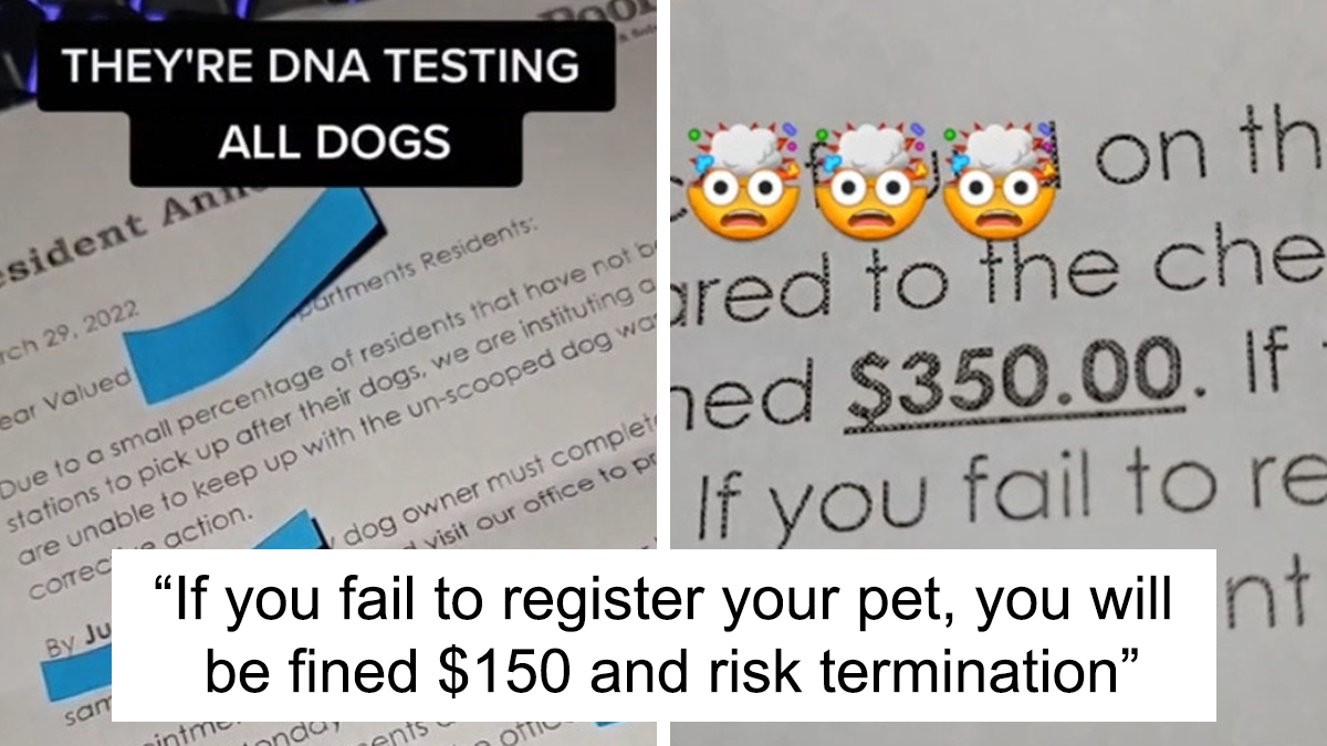 “You Gotta Hear This”: Landlords Demand Tenants Bring Their Dogs For DNA Testing To Find Out Who Doesn’t Pick Up The Poop