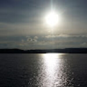 frankiebarrett avatar