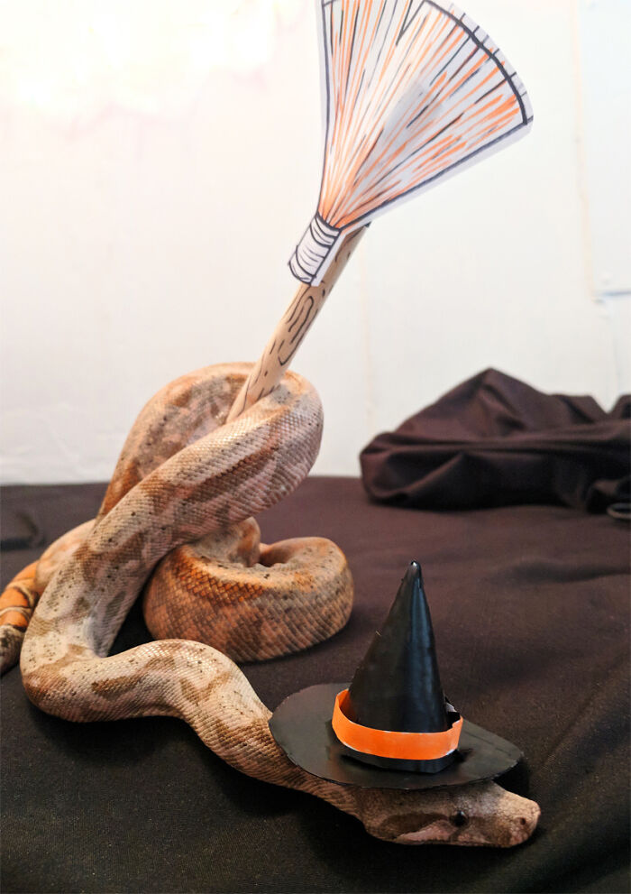 A Heckin' Spooky Snek