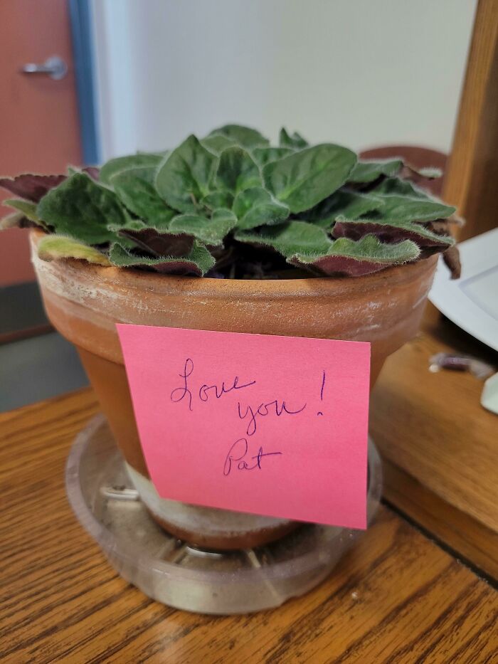 I Finally Got An Awesome, Nice Boss And After A Month, She Had To Move To Another Position. Yesterday Was Her Last Day. Came In This Morning To See This On My Desk