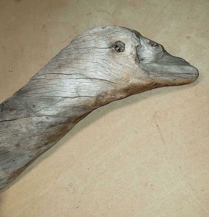 Este trozo de madera que parece un ganso