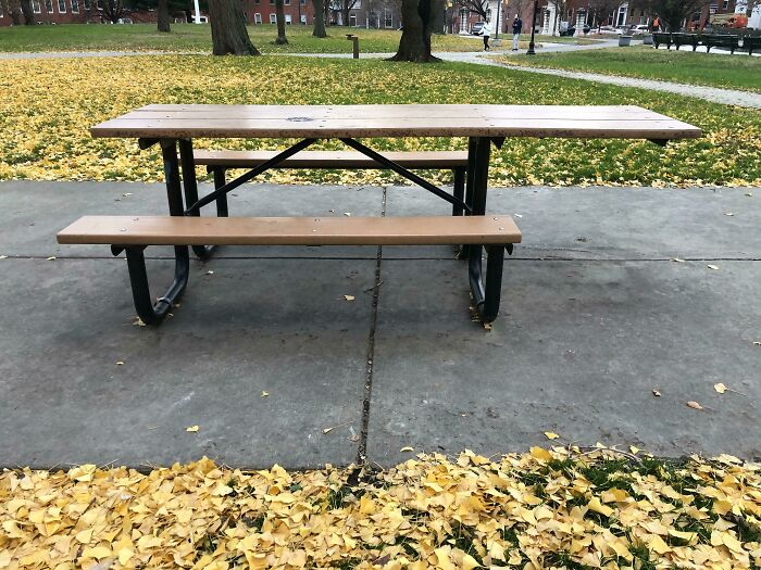 This Wheelchair-Accessible Picnic Table