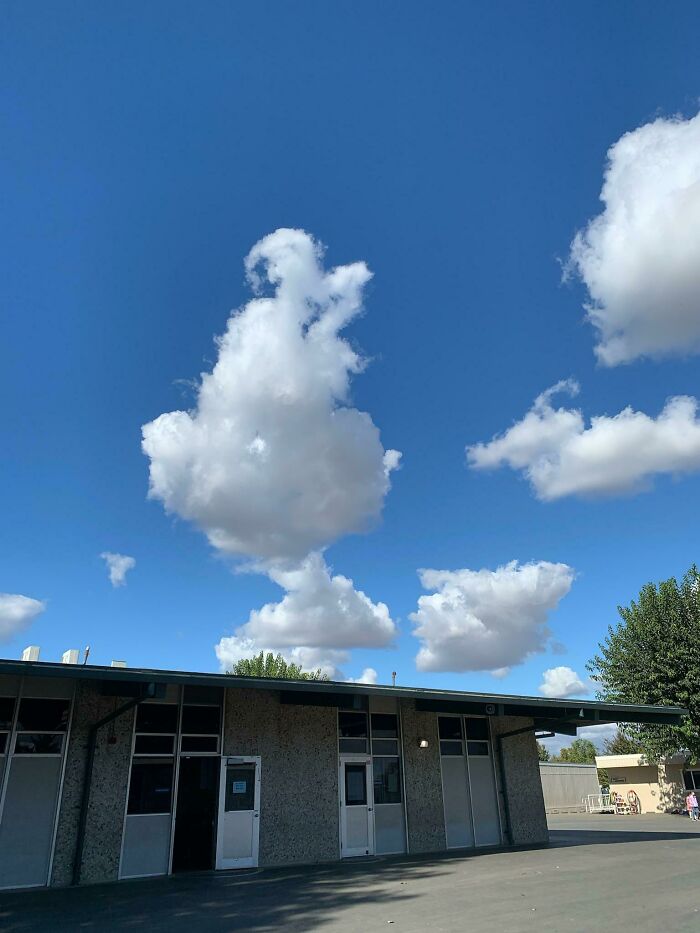 This Grinch Shaped Cloud