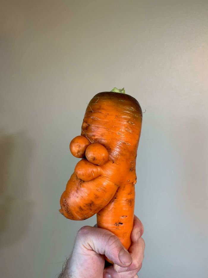 Esta zanahoria arrancada del jardín