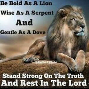 louisa_bauman avatar