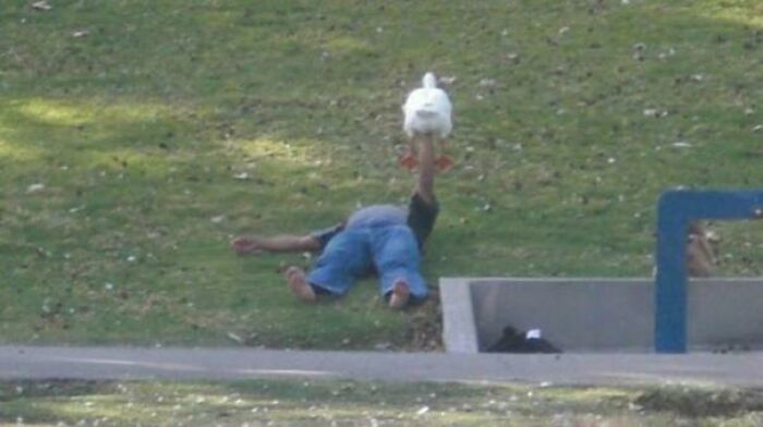 This Guy Bench-Pressing A Goose At L.A. Park