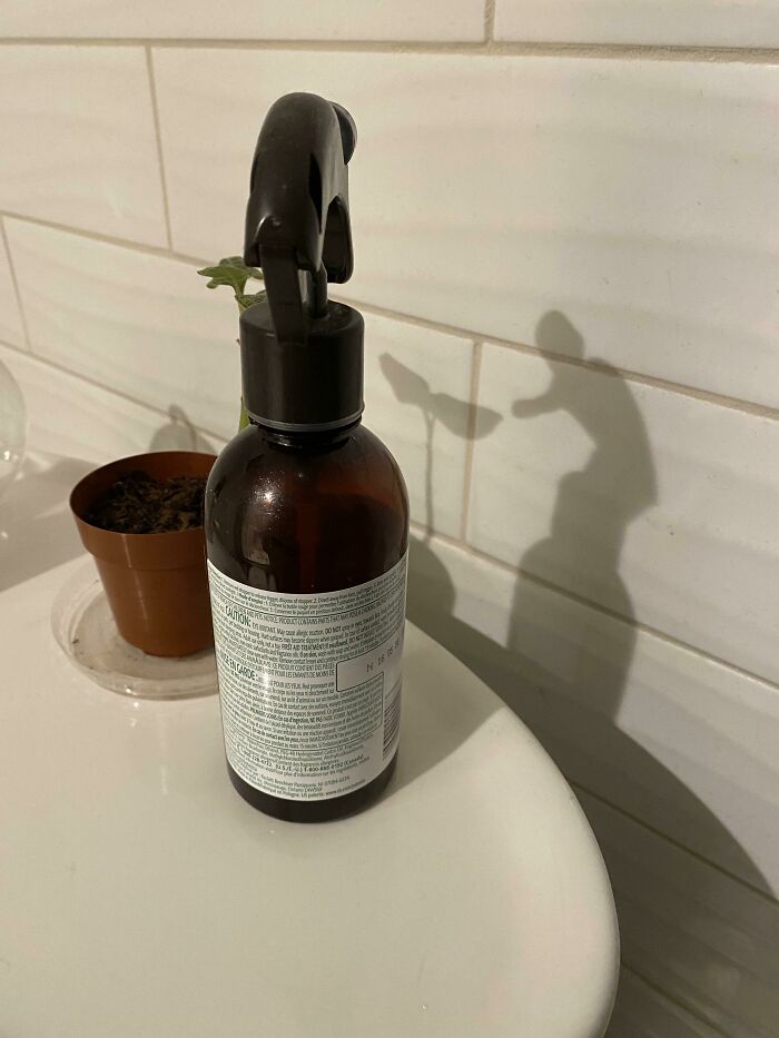 The Shadow This Spray Bottle And Plant Casts On My Bathroom Wall