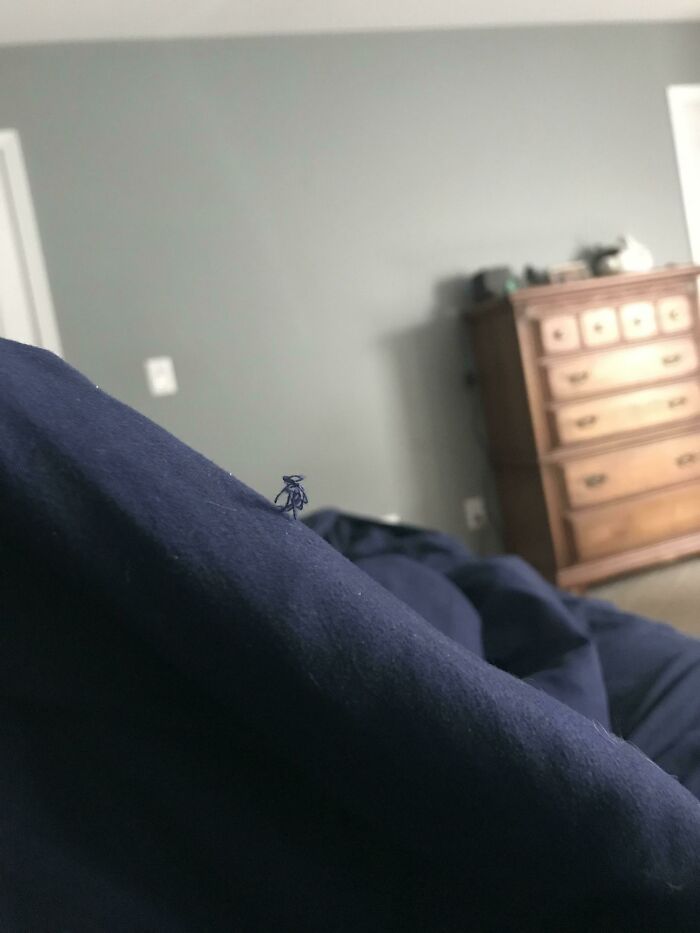This Little Fuzz On My Blanket Looks Like A Little Guy Climbing A Mountain