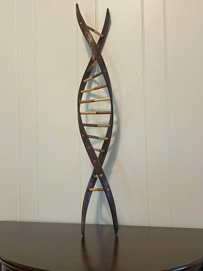 My First Real Woodworking Project. It’s A Dna Trellis For My Girlfriend Who Is Working On A Phd In Genetics And Loves Plants