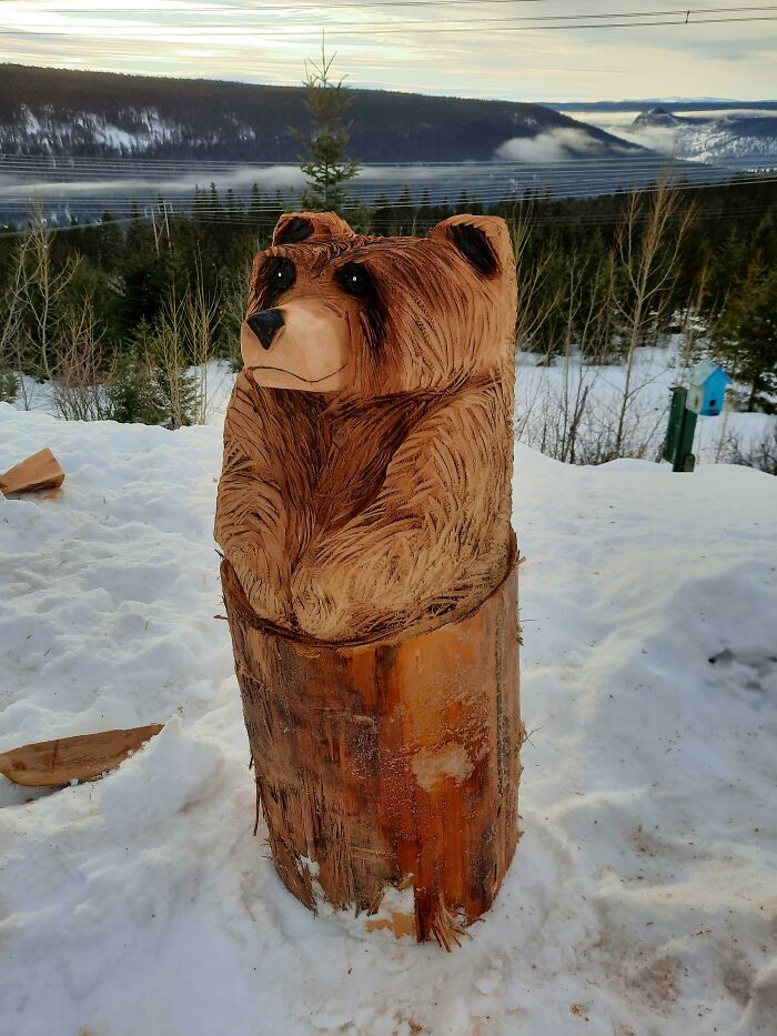 Tried My Hand At Chainsaw Carving Yesterday. Pretty Happy With How It Turned Out