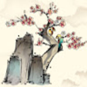 _priyadarshini avatar