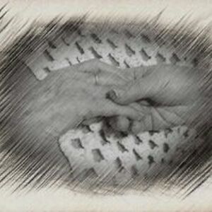 carolesedibleart avatar