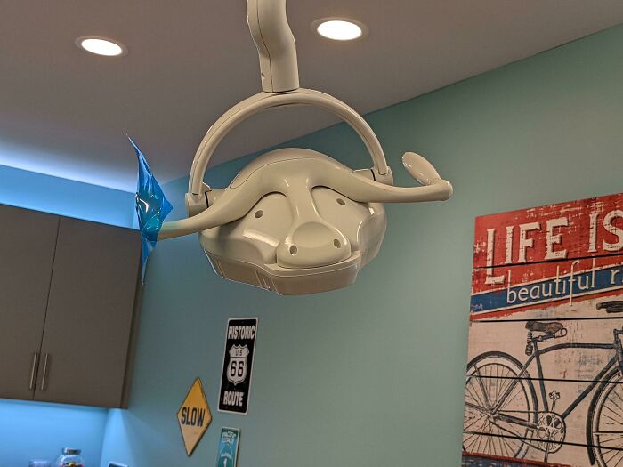 Dental Light Looks Like A Water Buffalo