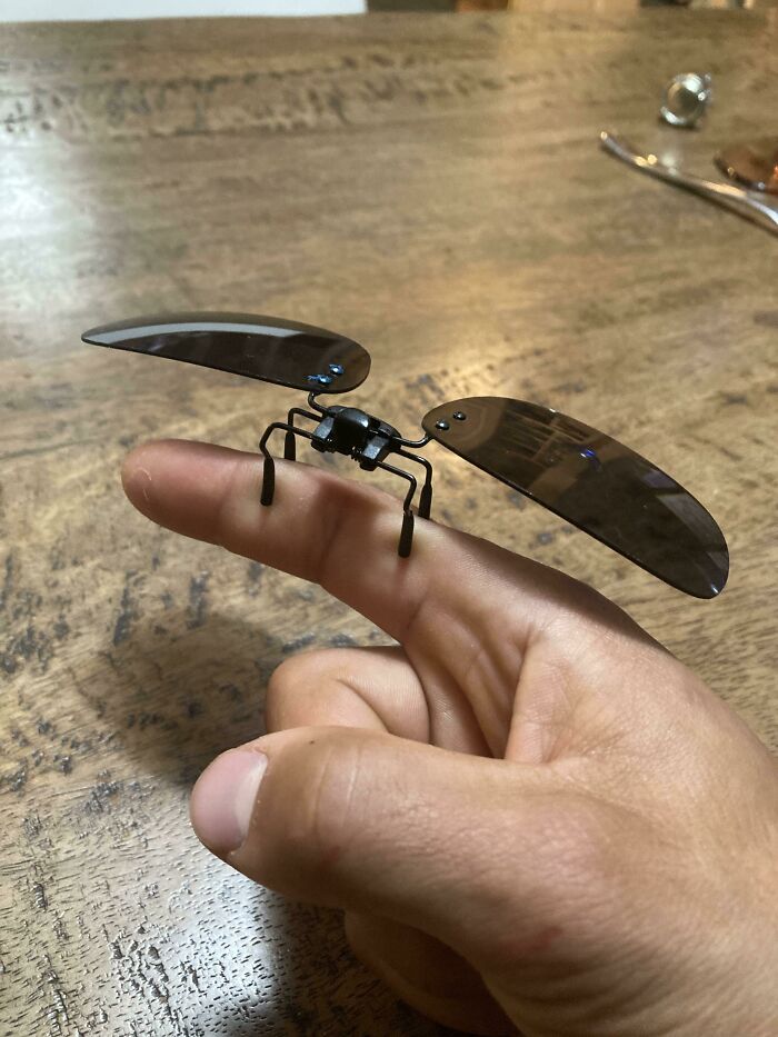 My Clip On Sunglasses Look Like An Insect