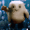cheryldenton avatar