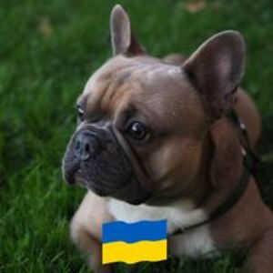 averina_victoria avatar