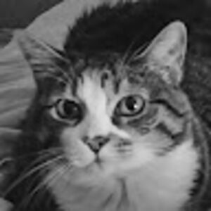 wendytaylor_1 avatar