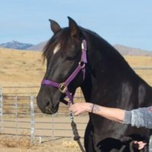 surgicalassistancellc avatar