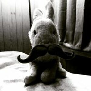 sarah_oshea0812 avatar