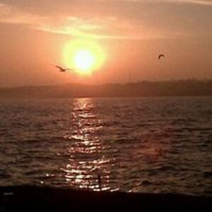 liza_doxtater avatar