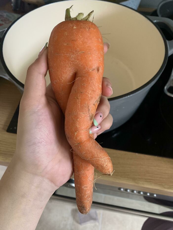 Esta zanahoria que compré en Tesco parece un par de atractivas piernas 