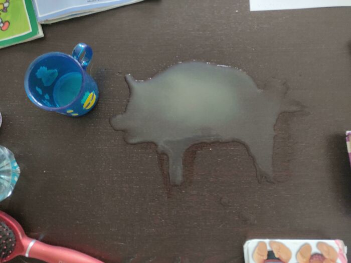 My Daughter Spilled Her Juice And It Looks Like A Pig
