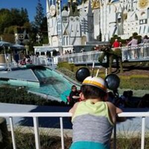 free_to_fly_1990 avatar