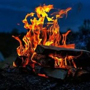 dustbunny_andcandy avatar