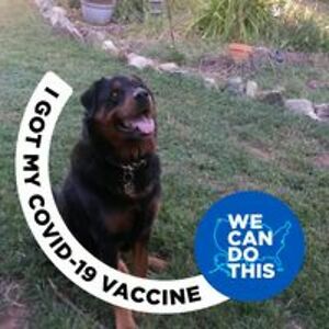 kylea_wilkinson avatar