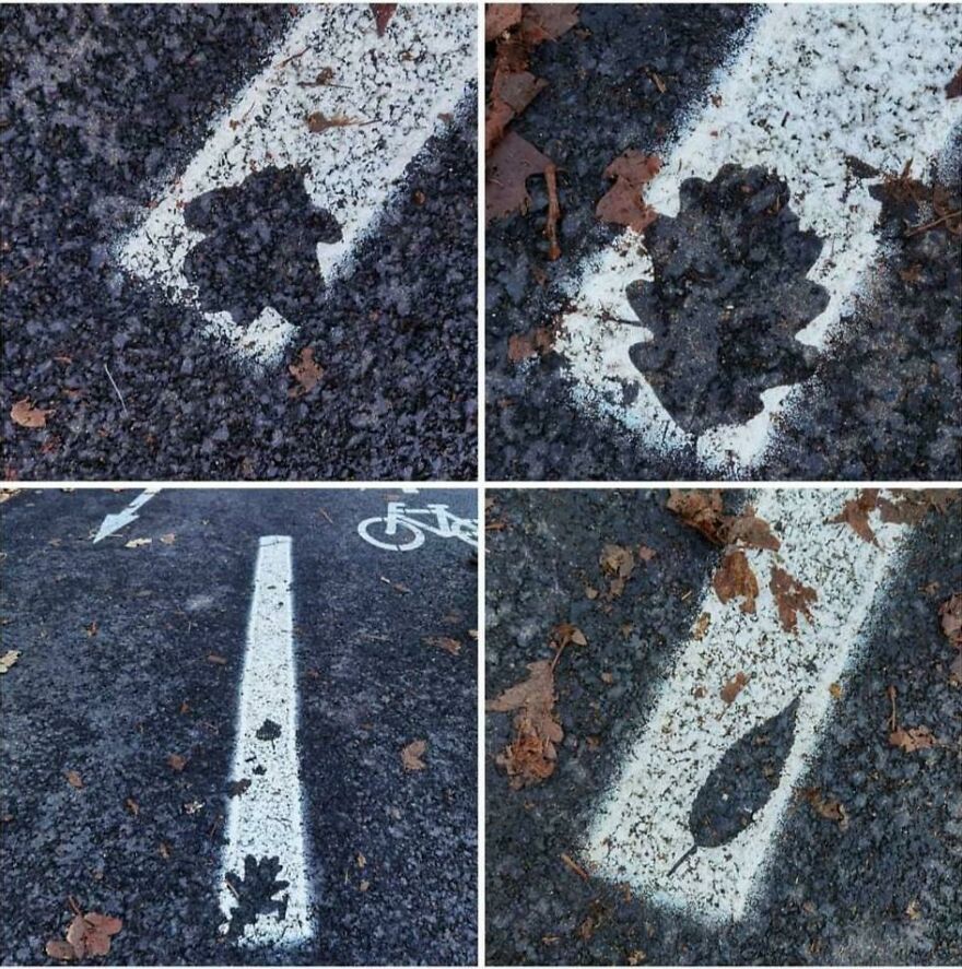 Painted The Road Boss 