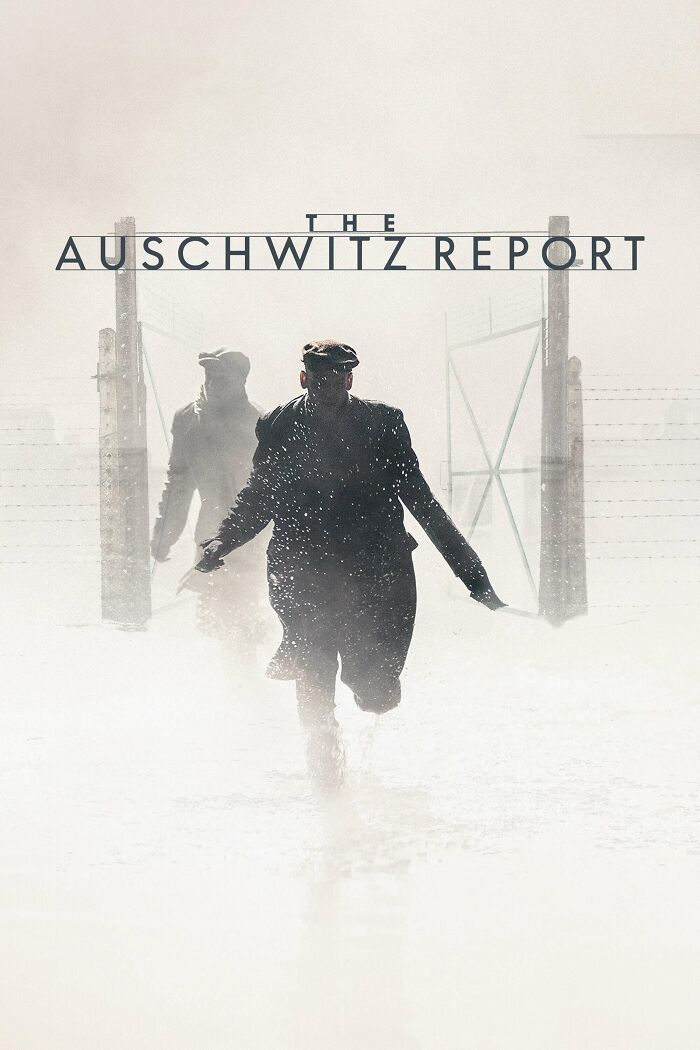  The Auschwitz Report