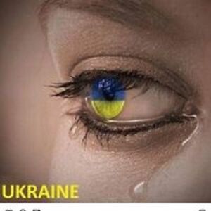 grahamtaylor06 avatar