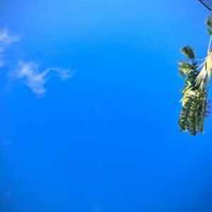 emmanuel_bonilla00 avatar