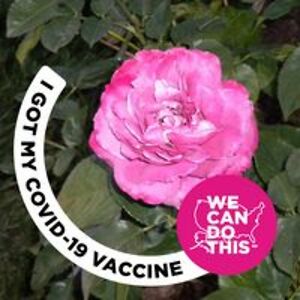 sherribullard_1 avatar