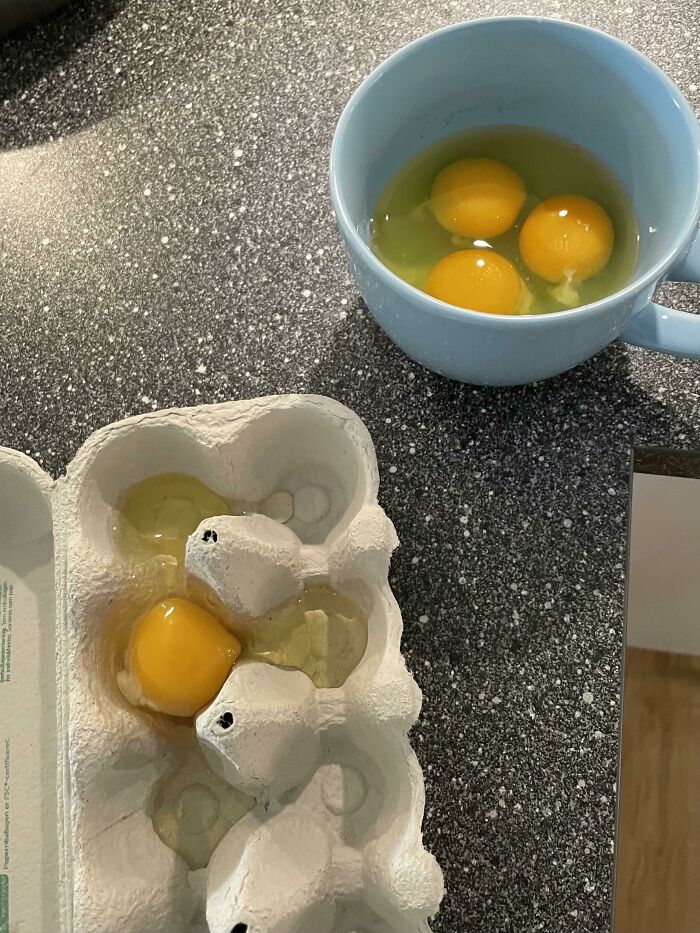 Brain Malfunctioned While Preparing Scrambled Eggs