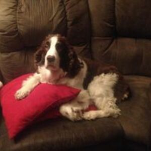 kittymama1994 avatar