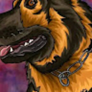 deputyinspectorjakerblx avatar