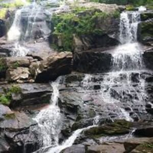 meganweller_bld avatar