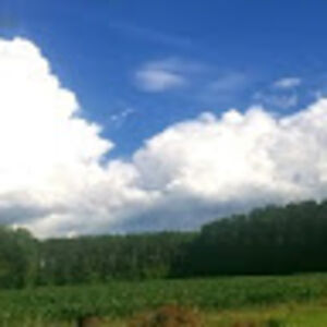 robinb_stewart avatar