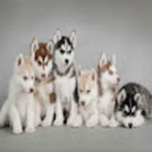 jasminemiller_1 avatar