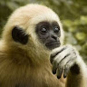 micheleferretto_1 avatar