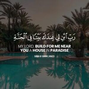 memoona_rubab_malik avatar