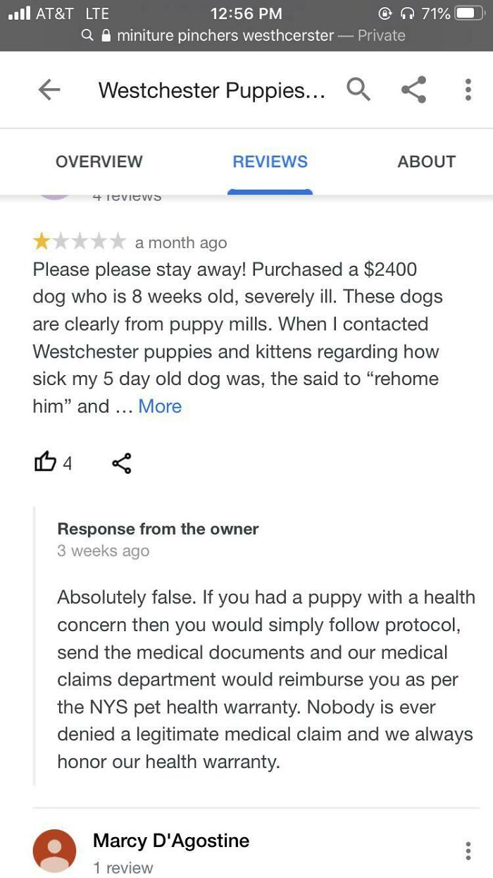 Got Caught Faking A Puppy Review