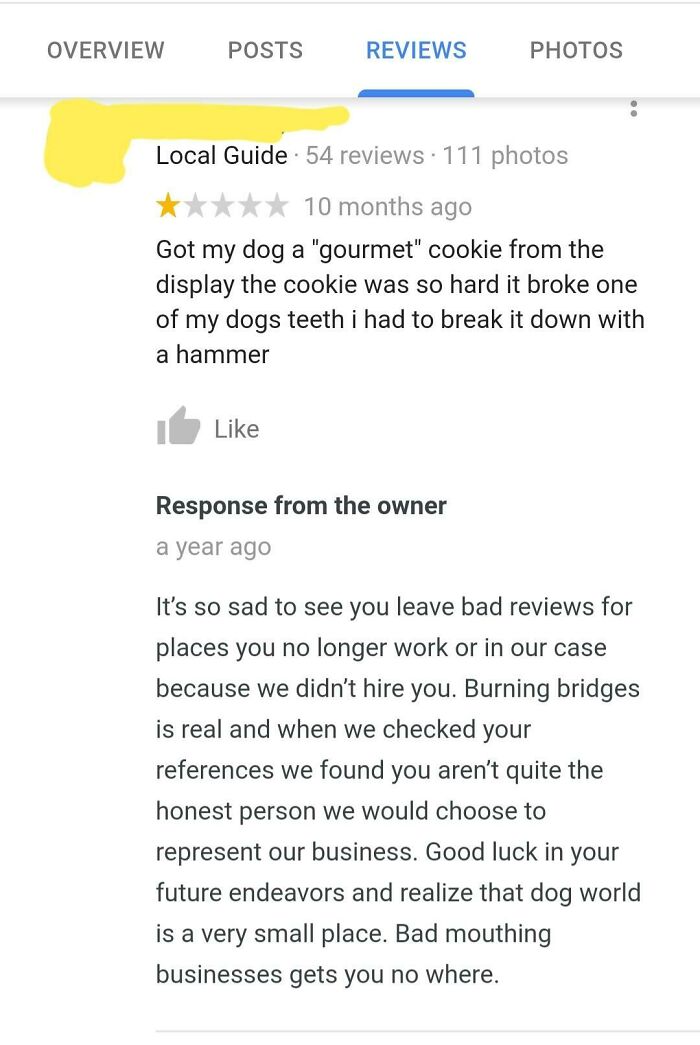 Lying On A Pet Store Google Review Because They Wouldn't Hire Him. Owner Responds.