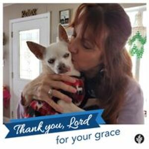 missscarlett181 avatar