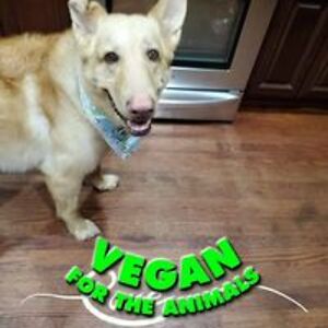 shelly_berchem avatar