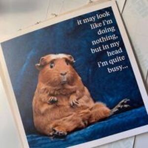 sarah_freeman avatar