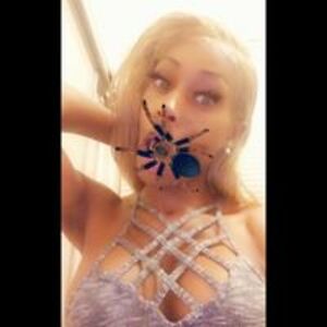 shannontheuwc avatar