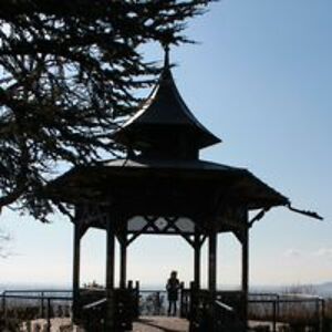 eric-koston-fan avatar