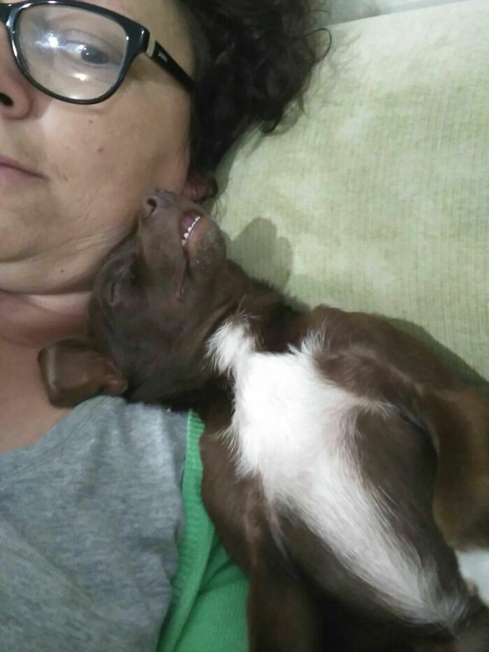 The Way My Dog Likes To Sleep On My Momma's Shoulder Fascinates Me